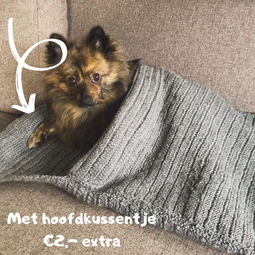 Hoofdkussen