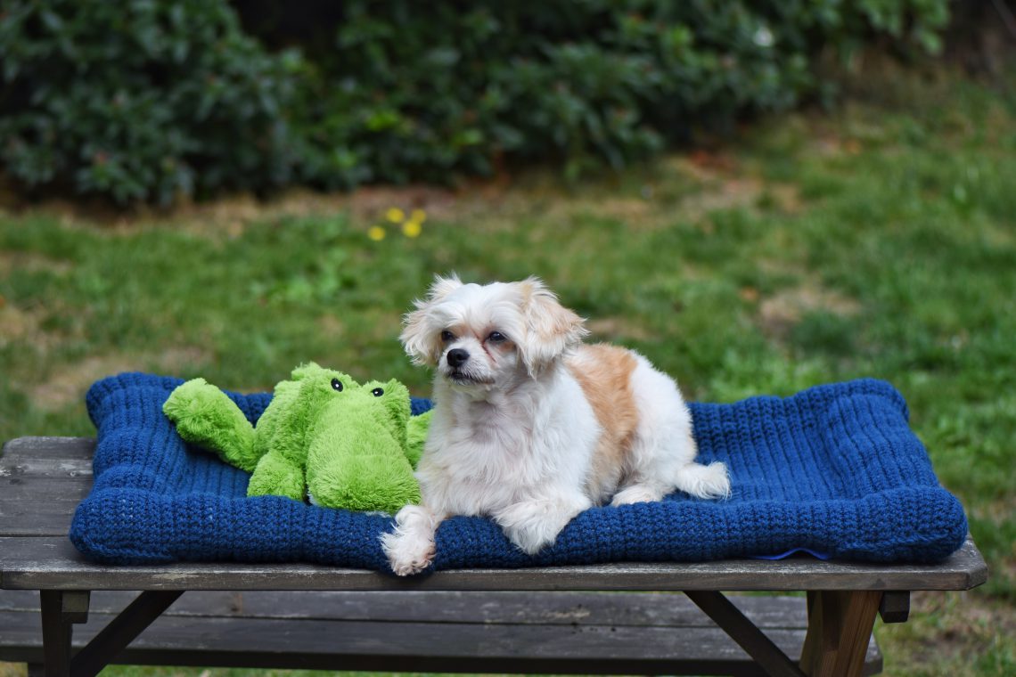 Benchkleed
